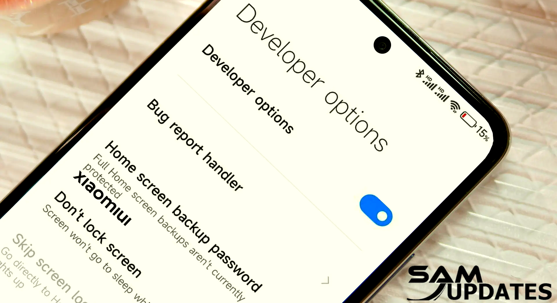 What are Developer Options